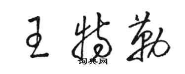 骆恒光王特勒草书个性签名怎么写