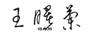 骆恒光王曙兰草书个性签名怎么写