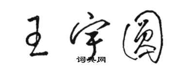 骆恒光王宇圆草书个性签名怎么写