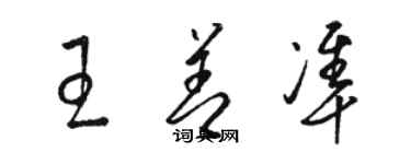 骆恒光王善准草书个性签名怎么写