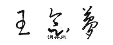 骆恒光王念梦草书个性签名怎么写