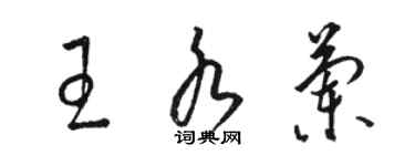 骆恒光王水兰草书个性签名怎么写