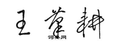 骆恒光王笔耕草书个性签名怎么写