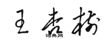 骆恒光王杏树草书个性签名怎么写
