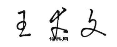 骆恒光王幸文草书个性签名怎么写