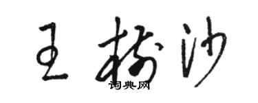 骆恒光王树沙草书个性签名怎么写