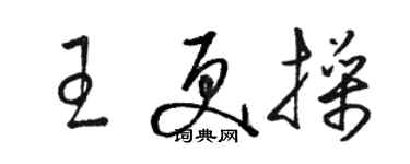 骆恒光王更操草书个性签名怎么写
