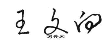 骆恒光王文向草书个性签名怎么写