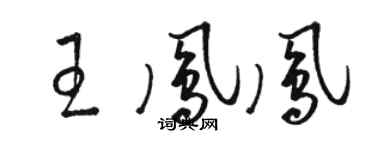 骆恒光王凤凤草书个性签名怎么写