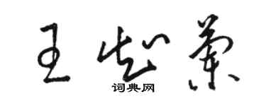 骆恒光王知兰草书个性签名怎么写