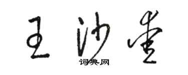 骆恒光王沙爱草书个性签名怎么写