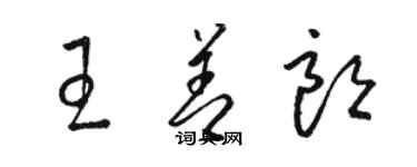 骆恒光王善朗草书个性签名怎么写