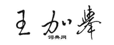 骆恒光王加举草书个性签名怎么写