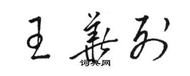 骆恒光王华列草书个性签名怎么写