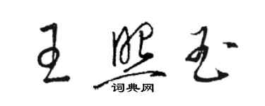 骆恒光王照玉草书个性签名怎么写