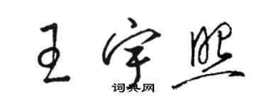 骆恒光王宇照草书个性签名怎么写