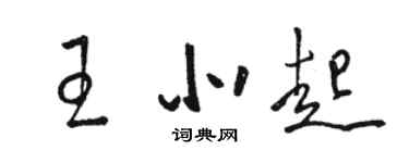 骆恒光王北起草书个性签名怎么写