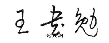 骆恒光王书勉草书个性签名怎么写