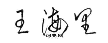 骆恒光王海里草书个性签名怎么写