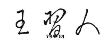 骆恒光王习人草书个性签名怎么写
