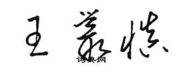 骆恒光王丛慎草书个性签名怎么写