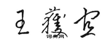 骆恒光王获宜草书个性签名怎么写