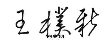 骆恒光王朴新草书个性签名怎么写