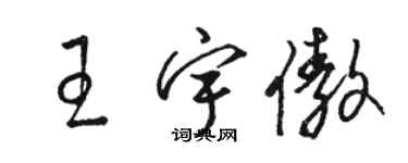 骆恒光王宇傲草书个性签名怎么写