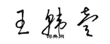 骆恒光王韩壹草书个性签名怎么写