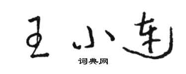 骆恒光王小连草书个性签名怎么写