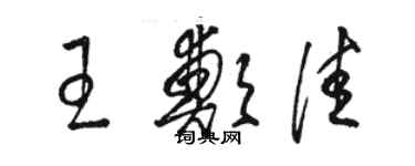 骆恒光王郑佳草书个性签名怎么写