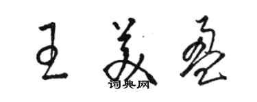 骆恒光王美盈草书个性签名怎么写