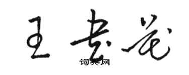 骆恒光王书花草书个性签名怎么写