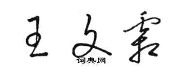 骆恒光王文霜草书个性签名怎么写