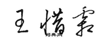 骆恒光王惜霜草书个性签名怎么写