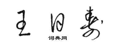 骆恒光王日寿草书个性签名怎么写