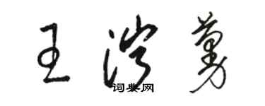 骆恒光王泞蔓草书个性签名怎么写