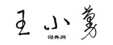 骆恒光王小蔓草书个性签名怎么写