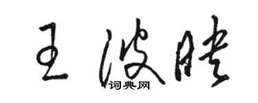 骆恒光王波映草书个性签名怎么写