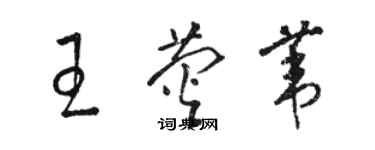 骆恒光王荧苇草书个性签名怎么写