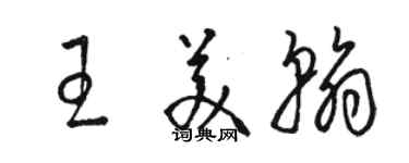 骆恒光王美翰草书个性签名怎么写