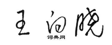 骆恒光王白晓草书个性签名怎么写