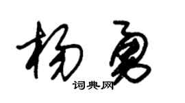 朱锡荣杨勇草书个性签名怎么写