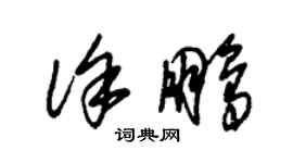 朱锡荣徐鹏草书个性签名怎么写