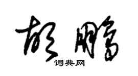 朱锡荣胡鹏草书个性签名怎么写