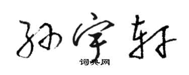 骆恒光孙宇轩草书个性签名怎么写
