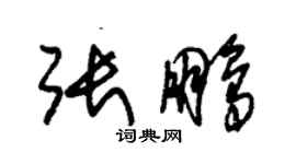 朱锡荣张鹏草书个性签名怎么写