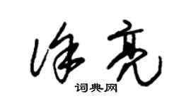 朱锡荣徐亮草书个性签名怎么写