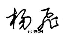 朱锡荣杨飞草书个性签名怎么写