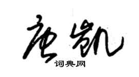 朱锡荣唐凯草书个性签名怎么写